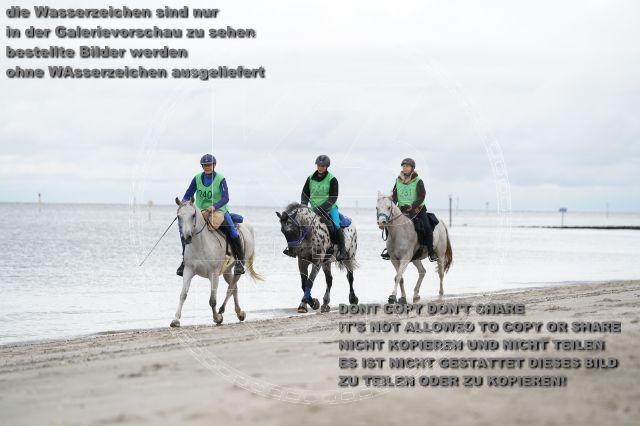 s_K3F04735.JPG